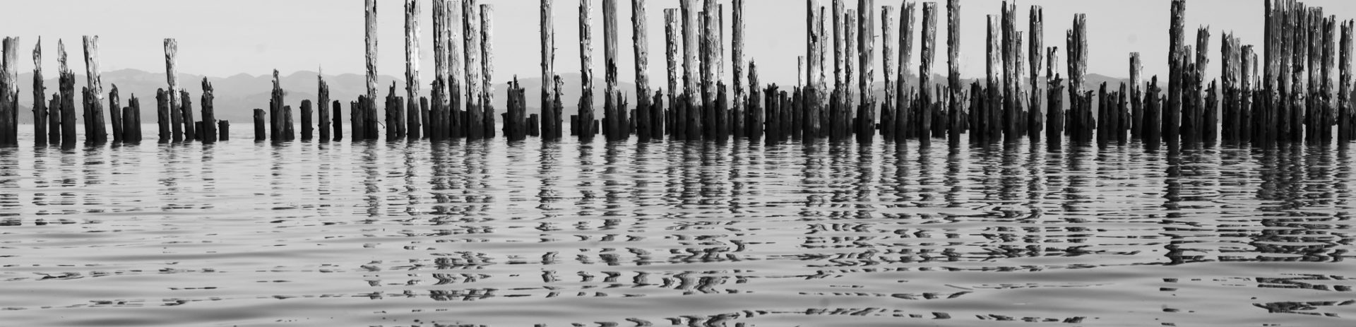 The Process | Converting a color camera to monochrome